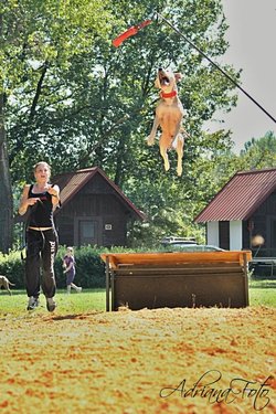 Bull sporty - long jump