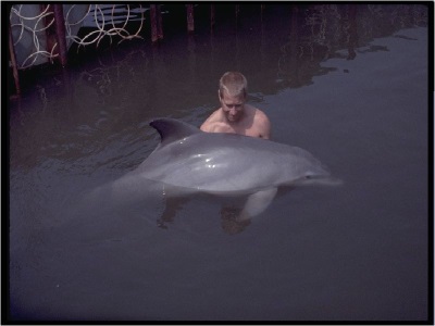 Robert Bailey a jeho první delfín vypuštěný do volného moře.