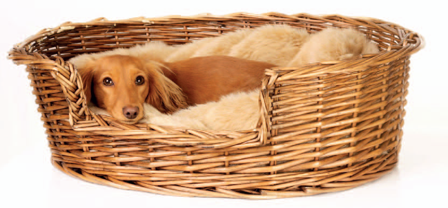 Pro psy, kteří mají rádi měkké nastlané lože, můžete na polštář přidat ještě deku, kterou si pes uhrabe podle své libosti. 