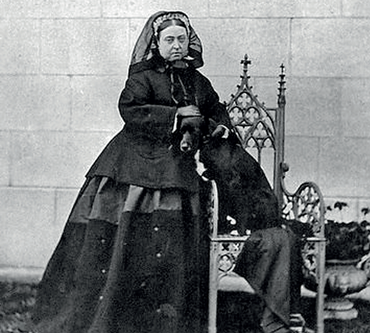 Královna Viktorie velice milovala border kolii Sharpa.