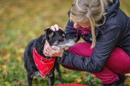 Projekt doživotních péčí pro psí seniory