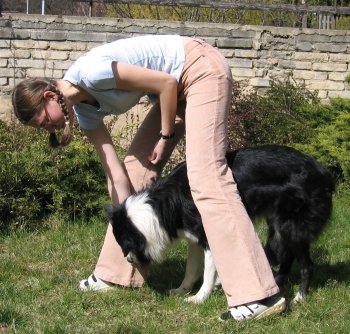 Dog dancing - nácvik couvání