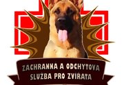 Logo: Záchranná a odchytová služba pro zvířata - Petr Prokeš