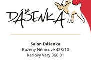 Logo: Salon Dášenka