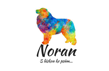  Noran.cz