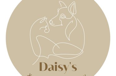  Daisy’s pet grooming | Stříhání psu | Psi salon