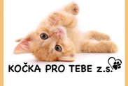 Logo: Kočka pro tebe z. s.