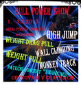 Bull Power Show