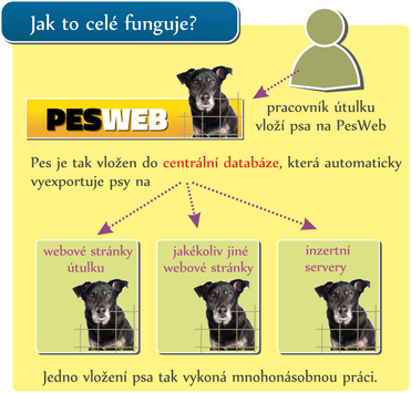 Pesweb - automatizované sdílení psů