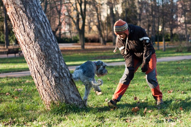  Pro nácvik přemetu odrazem od psovoda si v okolí najděte šikmo rostlý strom