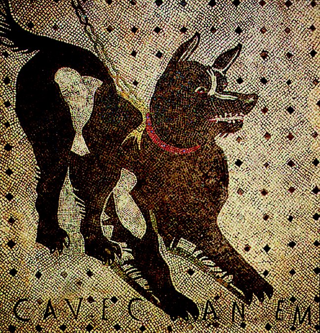 Nápis Cave canem na podlaze domu v Pompejích