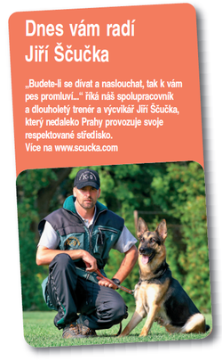 Napadení cizím psem - radí Jiří Ščuka