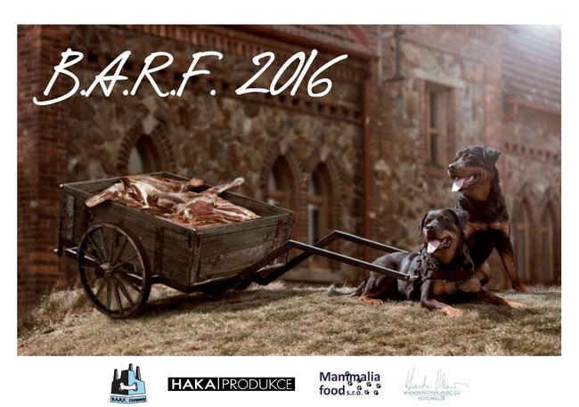 Charitativní kalendář Barf 2016