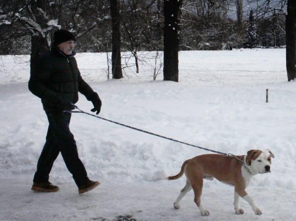Praha zastavila přípravu kontroverzní vyhlášky o pohybu psů
