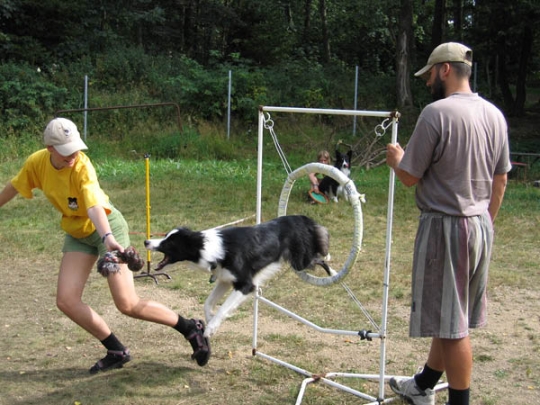 Agility - skok přes překážku - Největší chyba, kterou podle mě člověk může při trénování skoků udělat, je plést se psovi do učení.