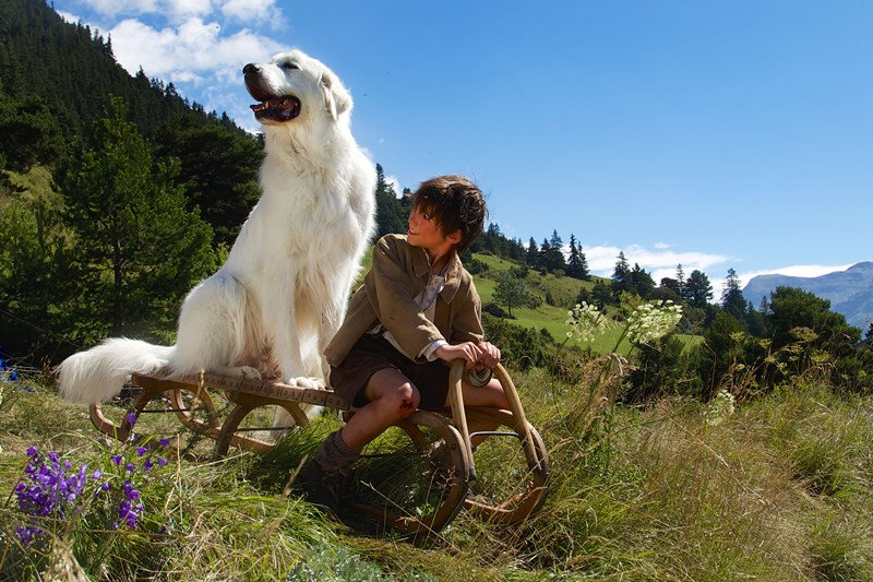 Film Bella a Sebastián 2 podpoří opuštěné psy