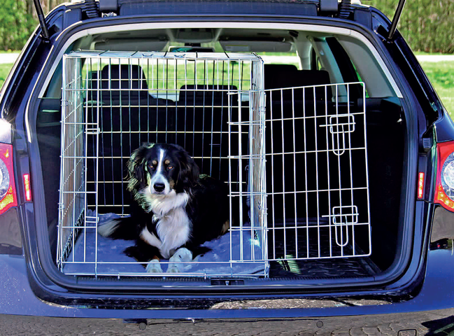 Zákon o silničním provozu nám totiž ukládá, že pes musí být převážen tak, aby neohrozil bezpečnost řidiče, spolucestujících ani bezpečnost silničního provozu.