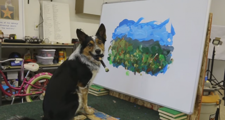 Cvičený pes maluje jako zkušený umělec!