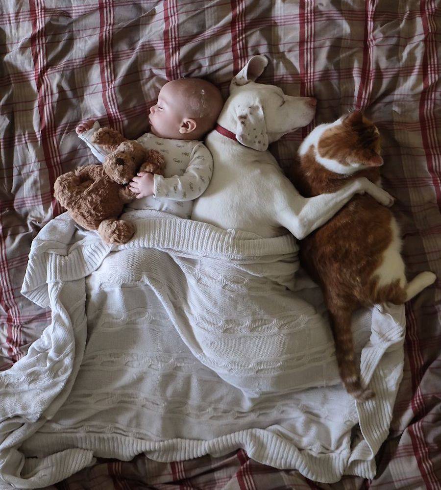 Matka vyfotografovala silné pouto mezi miminkem a zachráněným psem z útulku