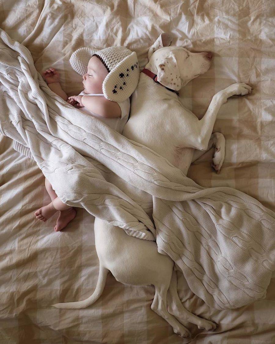 Matka vyfotografovala silné pouto mezi miminkem a zachráněným psem z útulku.