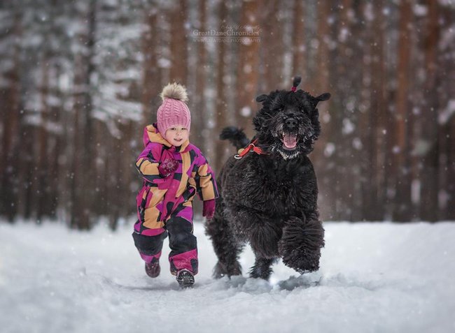 Zimní radovánky - dítě a pes.