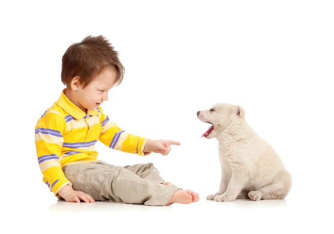 Hyperaktivní dítě (ADHD porucha) a pes.