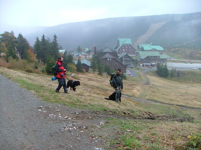 Dogtrekking neboli orientační pochod se psem je v Česku jedním z nejmladších odvětví pejskařských aktivit.