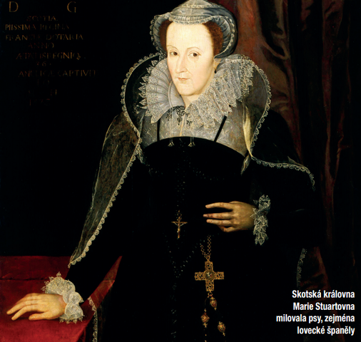 Skotská královna Marie Stuartovna milovala psy, zejména lovecké španěly.