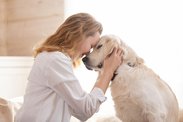 Jak pečovat o starého psa: změňte mu pohybový režim, stravu a víc si s ním hrajte