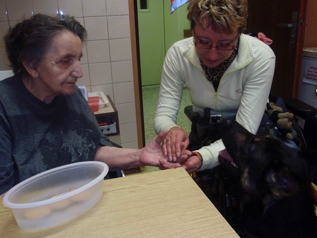 Německý ovčák pomáhá nemocným lidem v rámci canisterapie