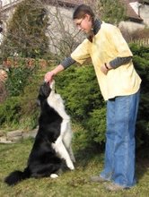 Dog dancing - nácvik prvku Trpaslík