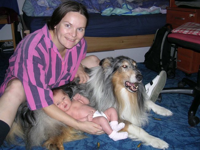 Pes a dítě spolu v bytě - Chcete si pořídit pejska?  Nebudete během následujících 15 let zakládat rodinu? Bezproblémové soužití promyslete již teď.
