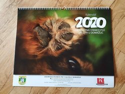  Kalendář 2020 - Záchytná stanice psů Valcha u Domažlic