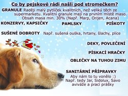  Vánoce pro útulkové pejsky - 21.12.2019 - útulek Sokolov