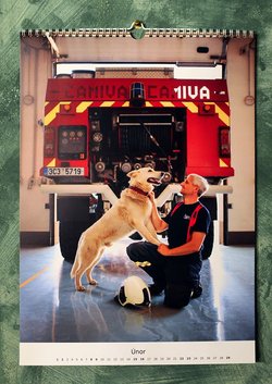  Charitativní kalendář 2020 - Animal Rescue