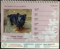  Týdenní kalendář - Pes nejvěrnější přítel