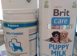  Nabídka nespotřebovaného mléka a kaše puppy