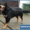  Baron