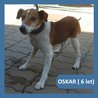  Oskar