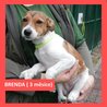  Brenda