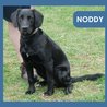  Noddy