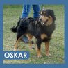  Oskar