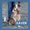  Xaver