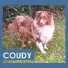  Coudy