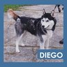  Diego