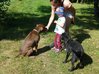 Tara s dítětem a se psem, oba viděla poprvé.