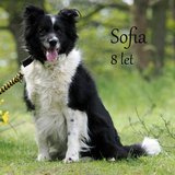 Sofia