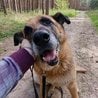  ROXY K ADOPCI - vděčná, nenáročná seniorka