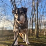  Lunca