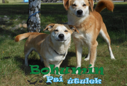 Logo: Útulek Bohumín